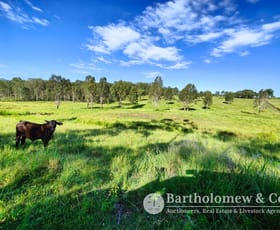 Rural / Farming commercial property for sale at 1800 Boonah Rathdowney Road Croftby QLD 4310