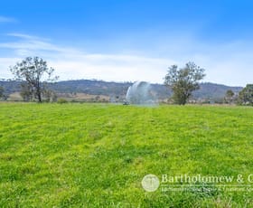 Rural / Farming commercial property for sale at 288 Round Mountain Road Laravale QLD 4285