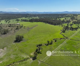 Rural / Farming commercial property for sale at L20 Beaudesert-Nerang Road Beaudesert QLD 4285