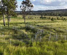 Rural / Farming commercial property for sale at Lot 1 Morgans Road Windera QLD 4605