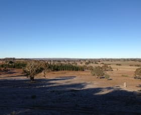 Rural / Farming commercial property for sale at 258 Kangaloolah Road Binda NSW 2583