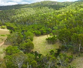 Rural / Farming commercial property for sale at 456 Bingo Tice Road Omeo VIC 3898