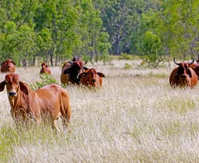 Rural / Farming commercial property sold at 53390 Burnett Highway Bouldercombe QLD 4702