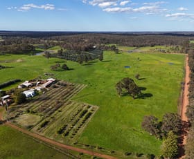 Rural / Farming commercial property for sale at 64 Gibellinis Road (Linfarne) Manjimup WA 6258