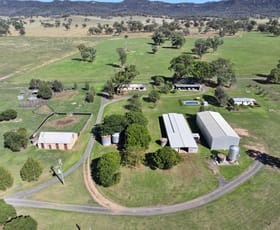 Rural / Farming commercial property for sale at 7245 Bylong Valley Way Bylong NSW 2849