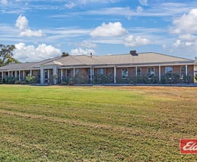 Rural / Farming commercial property for sale at 615 Wharparilla Road Echuca VIC 3564