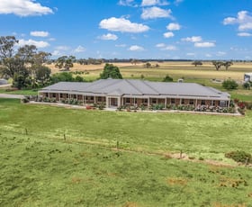 Rural / Farming commercial property for sale at 615 Wharparilla Road Echuca VIC 3564