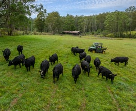 Rural / Farming commercial property for sale at 8591 Armidale Road Dorrigo NSW 2453