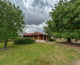 Rural / Farming commercial property for sale at 768 North Creek Road Ancona VIC 3715