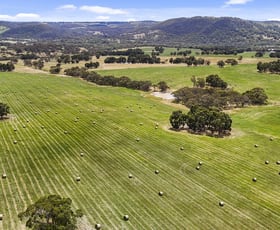 Rural / Farming commercial property for sale at 228 Hutchinson Road Hindmarsh Valley SA 5211