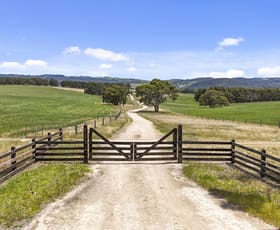 Rural / Farming commercial property for sale at 228 Hutchinson Road Hindmarsh Valley SA 5211