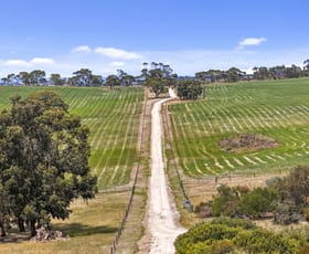 Rural / Farming commercial property for sale at 228 Hutchinson Road Hindmarsh Valley SA 5211