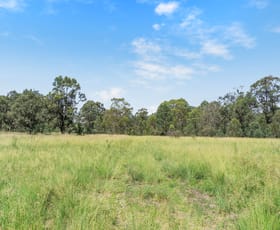 Rural / Farming commercial property sold at Site 6 Glendonbrook Road Singleton NSW 2330