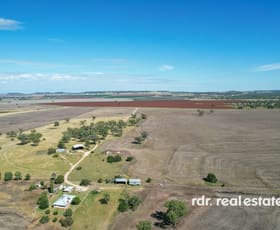 Rural / Farming commercial property for sale at 138 Prestons Lane Inverell NSW 2360