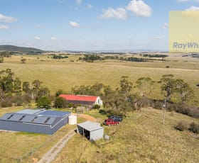 Rural / Farming commercial property sold at 75 Telegraph Hill Road Goulburn NSW 2580