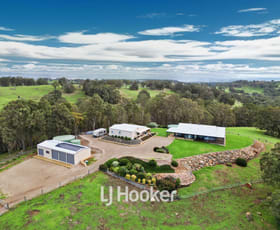Rural / Farming commercial property for sale at 211 Gardincourt Drive Henty WA 6236
