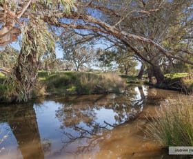 Rural / Farming commercial property sold at 1150 Sugarloaf Creek Road, Sugarloaf Creek via Broadford VIC 3658