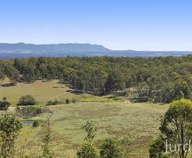 Rural / Farming commercial property for sale at 324 Wollong Road Quorrobolong NSW 2325