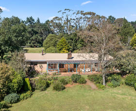 Rural / Farming commercial property for sale at 81 Pearsons Lane Robertson NSW 2577