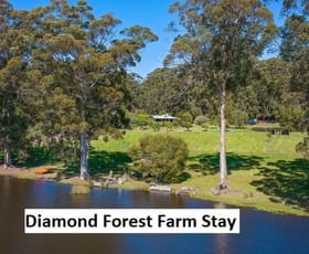 Rural / Farming commercial property for sale at 29159 South Western Highway (Middlesex) Manjimup WA 6258