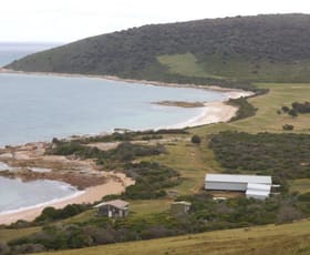 Rural / Farming commercial property for sale at . Prime Seal Island (Bass Strait) Whitemark TAS 7255