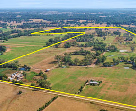 Rural / Farming commercial property for sale at Deloraine/499 Kerrs Road Milawa VIC 3678