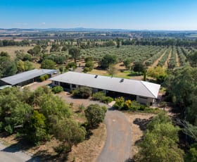 Rural / Farming commercial property for sale at 'Kalavista' 20/444 Rivers Road Canowindra NSW 2804