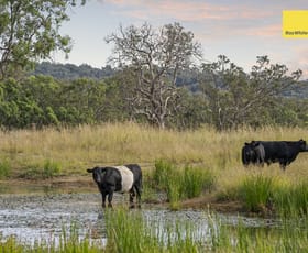 Rural / Farming commercial property for sale at 559 Rifle Range Road Inverell NSW 2360