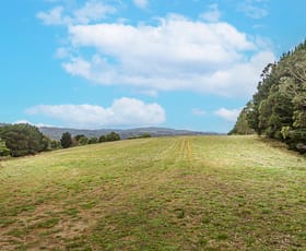 Rural / Farming commercial property for sale at 270 Mount Best Tin Mine Rd Toora North VIC 3962