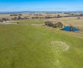 Rural / Farming commercial property sold at 536 Duramana Road Eglinton NSW 2795