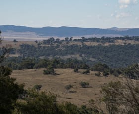 Rural / Farming commercial property sold at "Fox Hill" 697 Bairds Crossing Road Dalgety NSW 2628