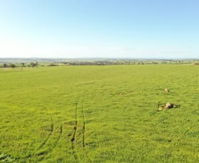 Rural / Farming commercial property sold at "Kirks" Kingsvale Road, KINGSVALE via Young NSW 2594