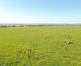 Rural / Farming commercial property for sale at "Kirks" Kingsvale Road, KINGSVALE via Young NSW 2594