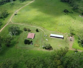 Rural / Farming commercial property for sale at 3170 Gunyarra Road Andromache QLD 4800