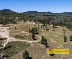 Rural / Farming commercial property sold at 2600 Sandy Creek Road Gulgong NSW 2852