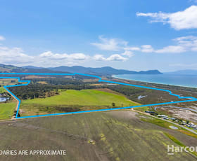 Rural / Farming commercial property for sale at 255 Marchwiel Road Bream Creek TAS 7175