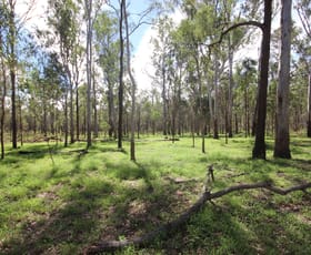 Rural / Farming commercial property sold at Allies Creek Road Monogorilby QLD 4626