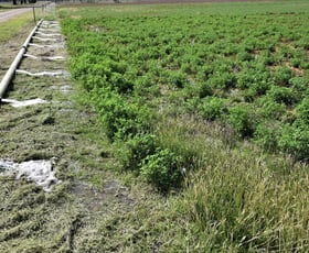 Rural / Farming commercial property sold at 'Bondabolla' 11052 Kamilaroi Highway Gunnedah NSW 2380