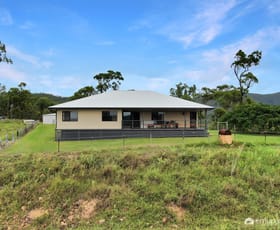 Rural / Farming commercial property for sale at 387 Sleipner Road Mount Chalmers QLD 4702