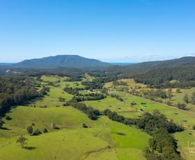 Rural / Farming commercial property for sale at 302 Batar Creek Road Batar Creek NSW 2439