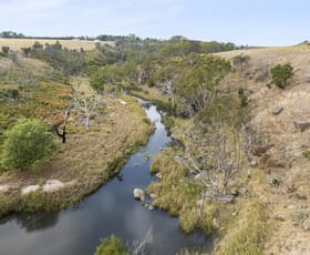 Rural / Farming commercial property for sale at 4 Shelford-Mt Mercer Road Shelford VIC 3329
