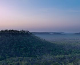 Rural / Farming commercial property for sale at 2301 Dorat Road Robin Falls NT 0822