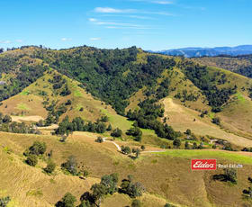 Rural / Farming commercial property sold at 2127A Salisbury Road, Salisbury via Dungog NSW 2420
