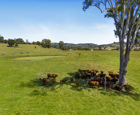 Rural / Farming commercial property sold at 861 Lowood Minden Road Minden QLD 4311