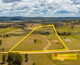 Rural / Farming commercial property sold at 84 Iron Barks Road Mudgee NSW 2850