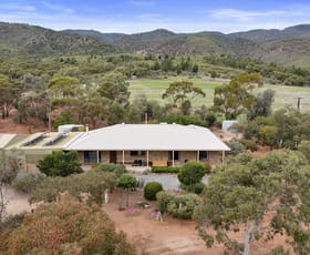 Rural / Farming commercial property sold at 175 Jenkins Rd Telowie SA 5540