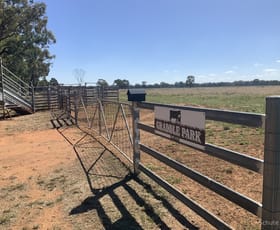 Rural / Farming commercial property sold at 49 Dawes Crossing Narromine NSW 2821