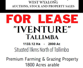 Rural / Farming commercial property for sale at 'IVENTURE' 1100 Paynes Road Tallimba NSW 2669