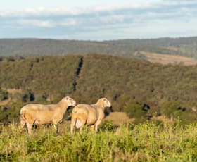 Rural / Farming commercial property sold at 4889 Trunkey Road Bathurst NSW 2795