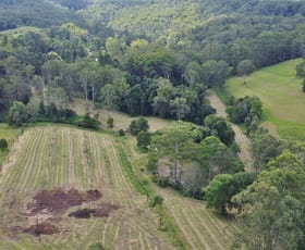Rural / Farming commercial property for sale at 209 Billen Road Georgica NSW 2480